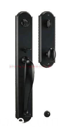 Popular Elegant Design Steel Door for Luxury House